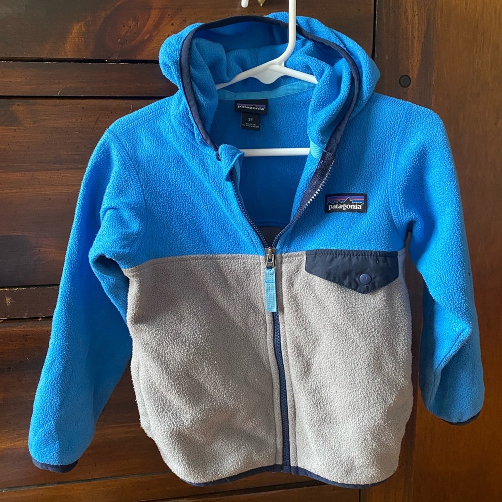 Patagonia Hooded Fleece Toddler 2T Zip Up